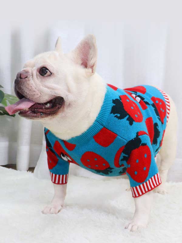 New autumn and winter dog clothes bulldog sweater strawberry cartoon short body fat dog method fighting autumn sweater 107-222041 www.cattree-factory.com