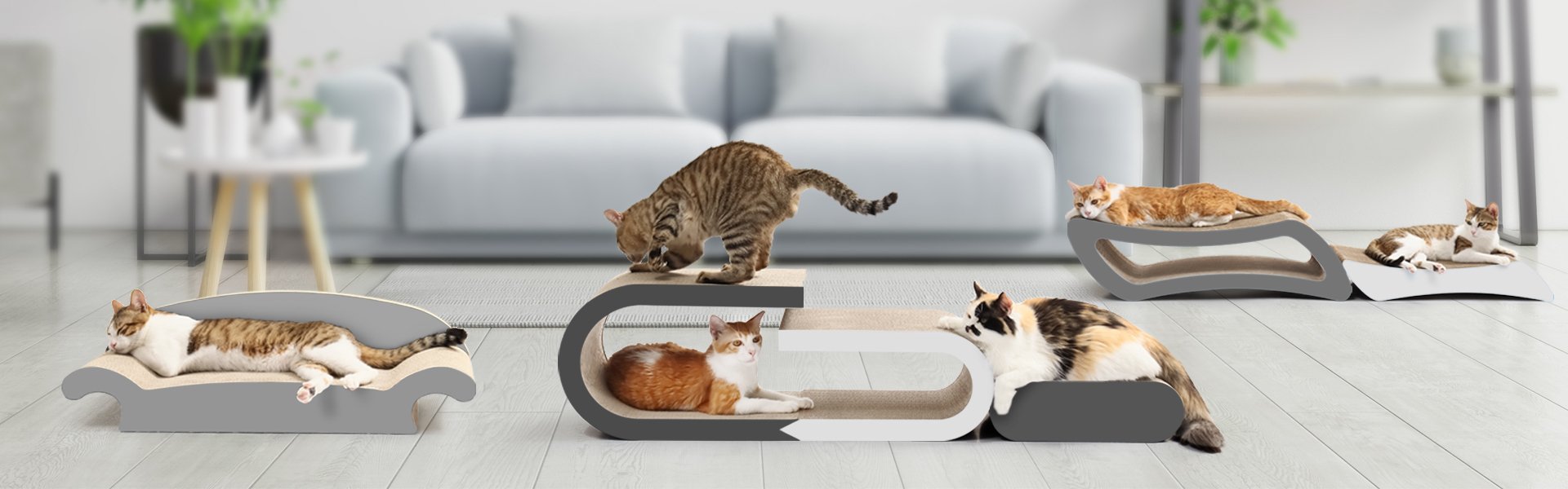 Cats using wood and sisal cat loungers in a bright living room