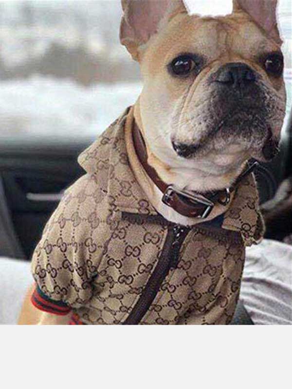 Dog Apparel Pet Clothes New Trend Coat Fashion Designer Small Dog Clothes