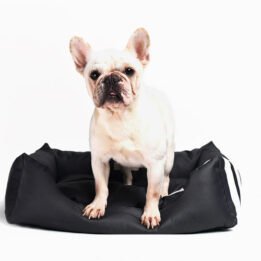 Factory Supply Wholesale Luxury Pet Bed Soft Square Elegant Noble Series Dog Bed www.cattree-factory.com