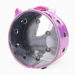 Pet Travel Bag for Cat Cage Carrier Breathable Transparent Window Box Capsule Dog Travel Backpack www.cattree-factory.com