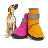 pet products bird products furniture pet dog shoes 100