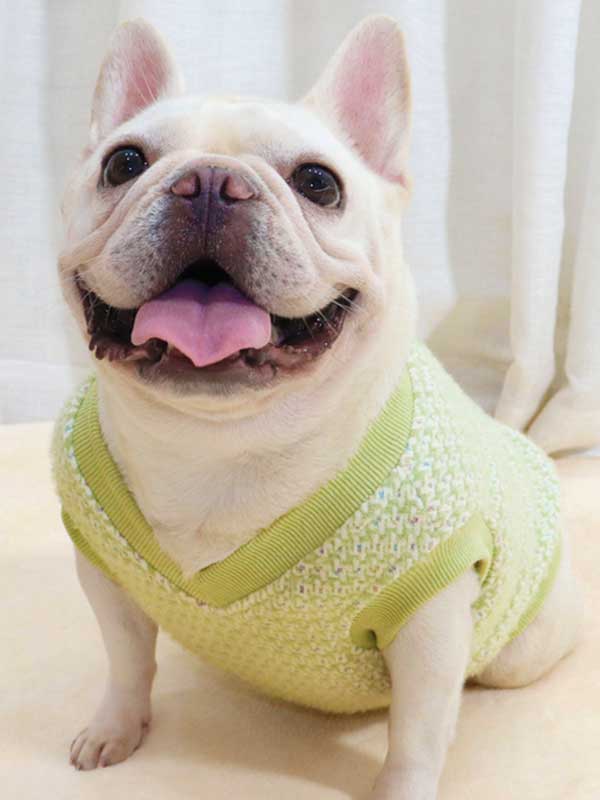 GMTPET Thickened autumn and winter fat dog short body bulldog pug dog lady plush rich rich French fighting clothes v-neck vest vest 107-222012 www.cattree-factory.com