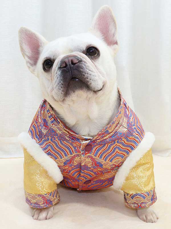 GMTPET French fighting Chinese New Year’s clothing New Year’s clothing Tang suit Chinese style fat dog bulldog dog clothes thickened rabbit fur jacket cotton coat 107-222013 www.cattree-factory.com
