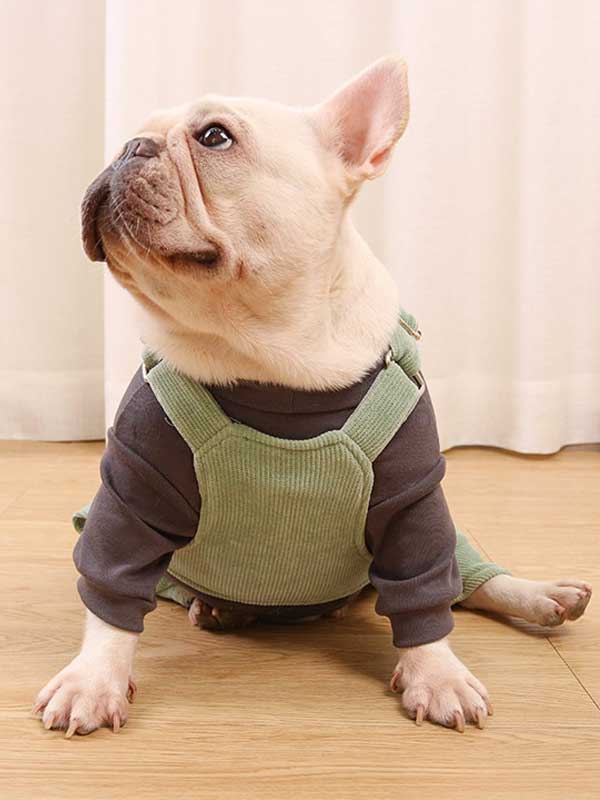GMTPET French fighting clothes high elastic comfortable solid color plus velvet thick bottoming shirt T-shirt bulldog dog clothes 107-222016 Dog Clothes: Shirts, Sweaters & Jackets Apparel 107-222016
