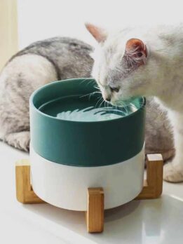 Factory Wholesale Ceramic Pet Cat bowl with Bamboo Stand Bowls