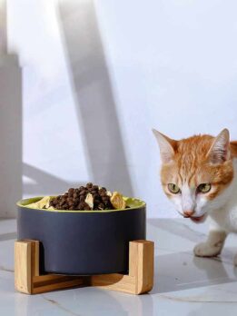 Factory Wholesale Ceramic Pet Cat bowl with Wooden Bamboo Stand